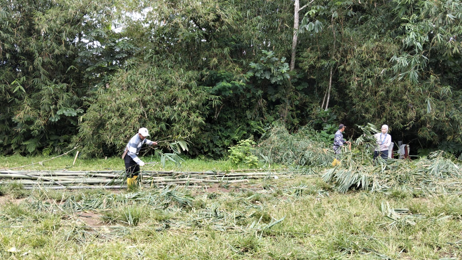 Persiapan Bambu Gerbang Kampung Pramuka, Langkah Awal Menuju Lembur Pramuka Kwarcab Kabupaten Bogor