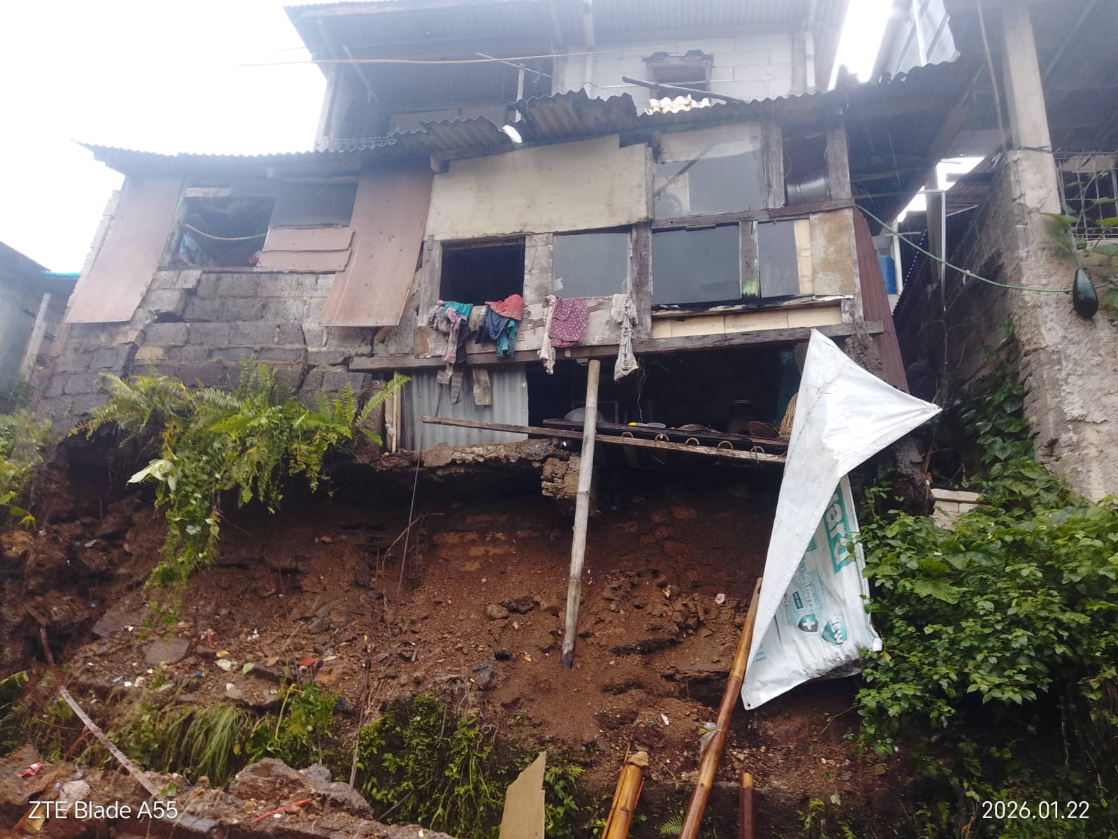 HUJAN DERAS SEBABKAN POHON TUMBANG DI DESA LEUWIMALANG, CISARUA