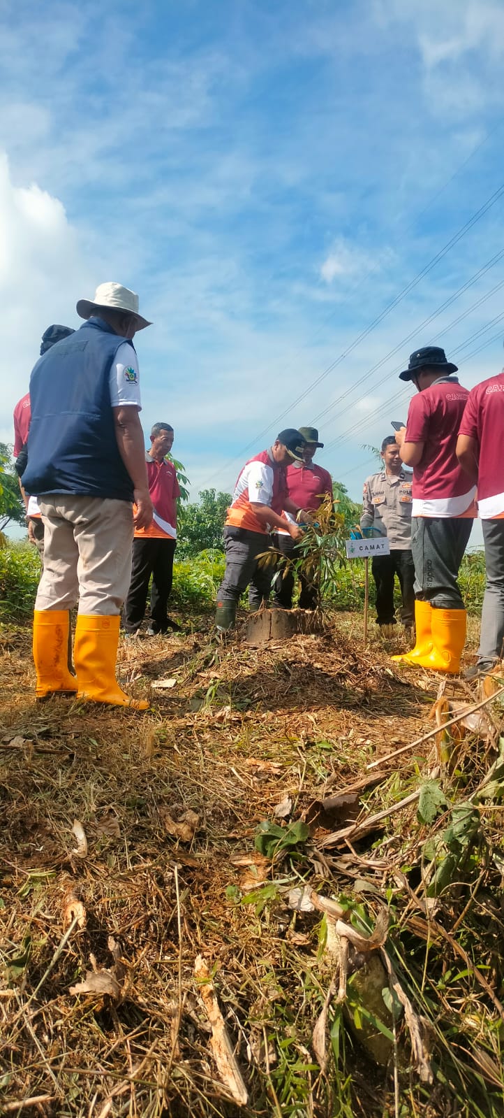 Penanaman Pohon untuk Indonesia, Pemkab Bogor dan Pramuka Caringin Hijaukan Desa Lemah Duhur