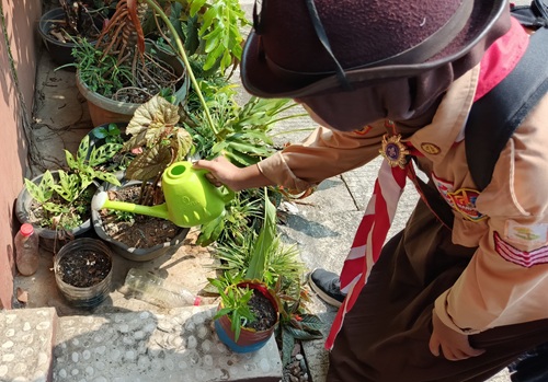 Ayu Wulandari Anggota Pramuka SMPN 1 Cileungsi Laksanakan Giat Pramuka Menanam Secara Mandiri