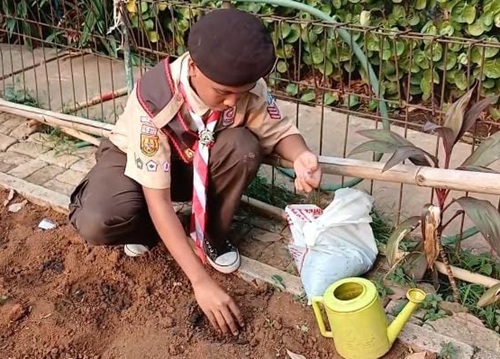 Calon Pramuka Garuda SMPN 4 Cileungsi Tanam Sayuran melalui Projek “Pramuka Menanam”
