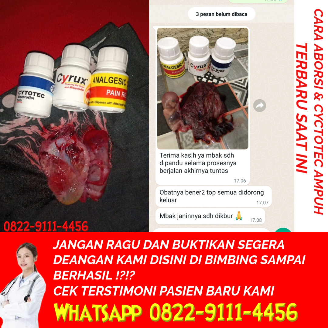 Jual Obat Aborsi Asli Dan Cara Menggugurkan Kandungan Alami Minim Efek Samping